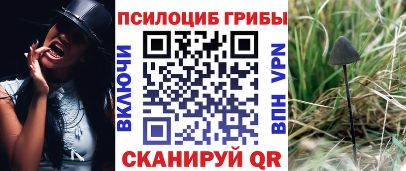 Галлюциногенные грибы ЛСД  KRAKEN рабочий сайт  Таганрог 